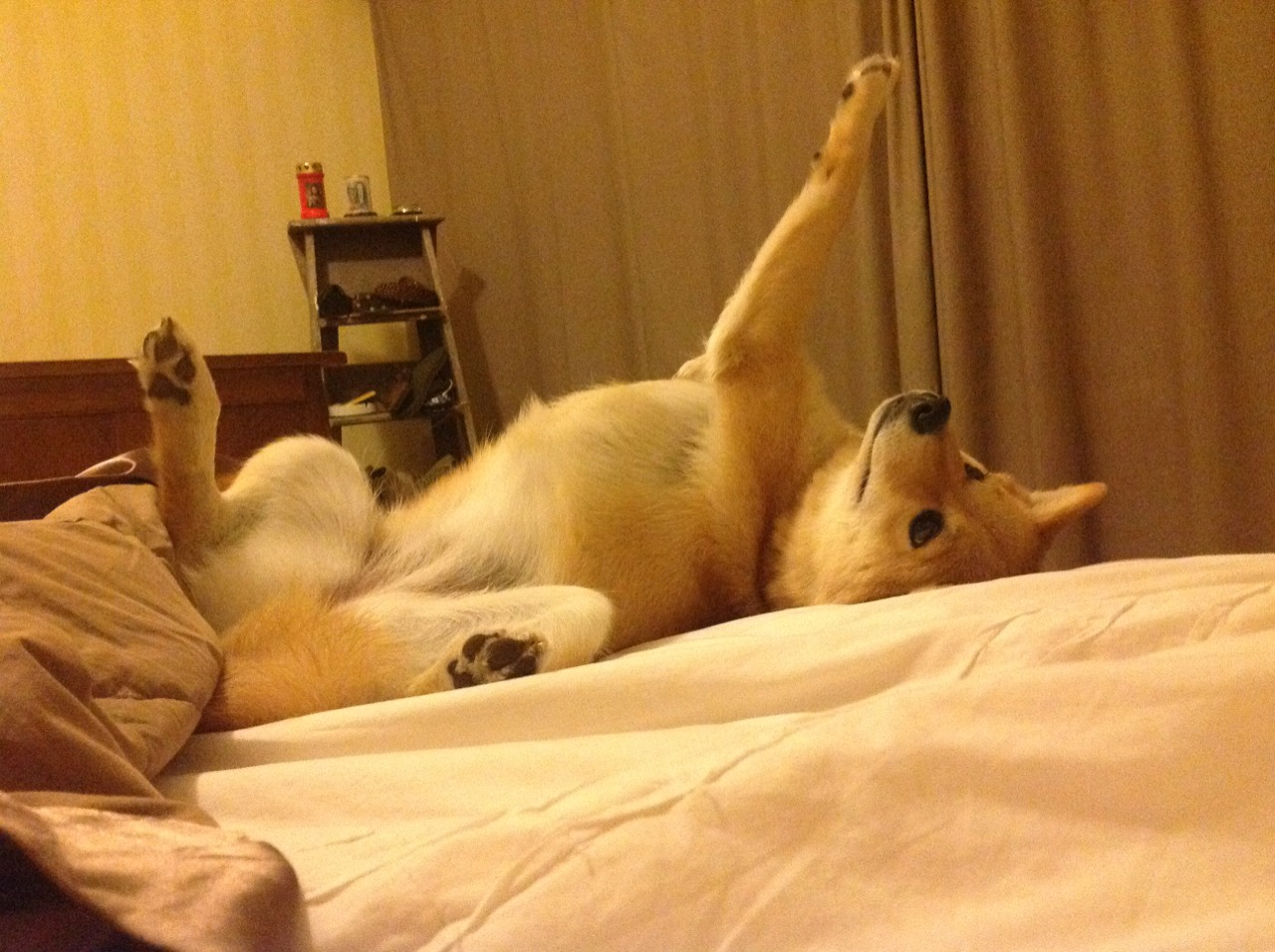 爱游戏app下载-借助数字化手段提升足球比赛观赛体验，数字智能足球