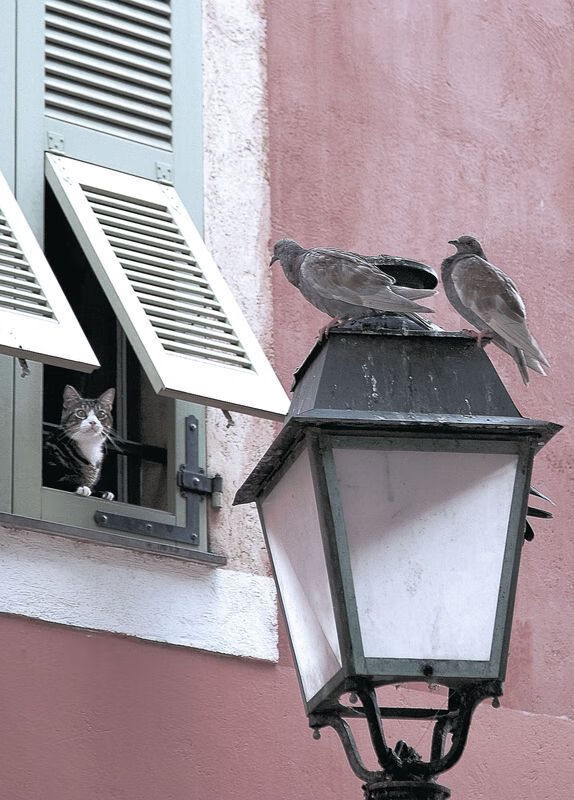 AYX官网-守望先锋 战队新赛季目标明确，守望先锋2022赛季