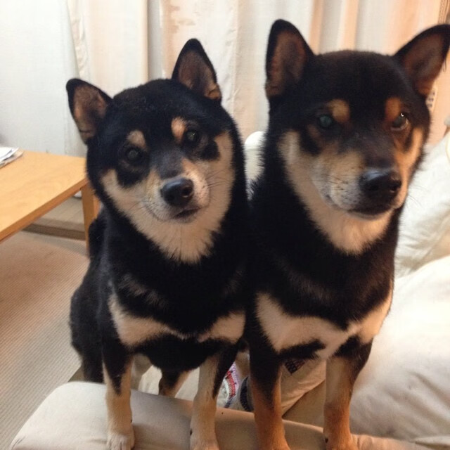 AYX体育官网-未来“欧洲霸主”潜力股：谁能一统天下？，欧洲未来预测