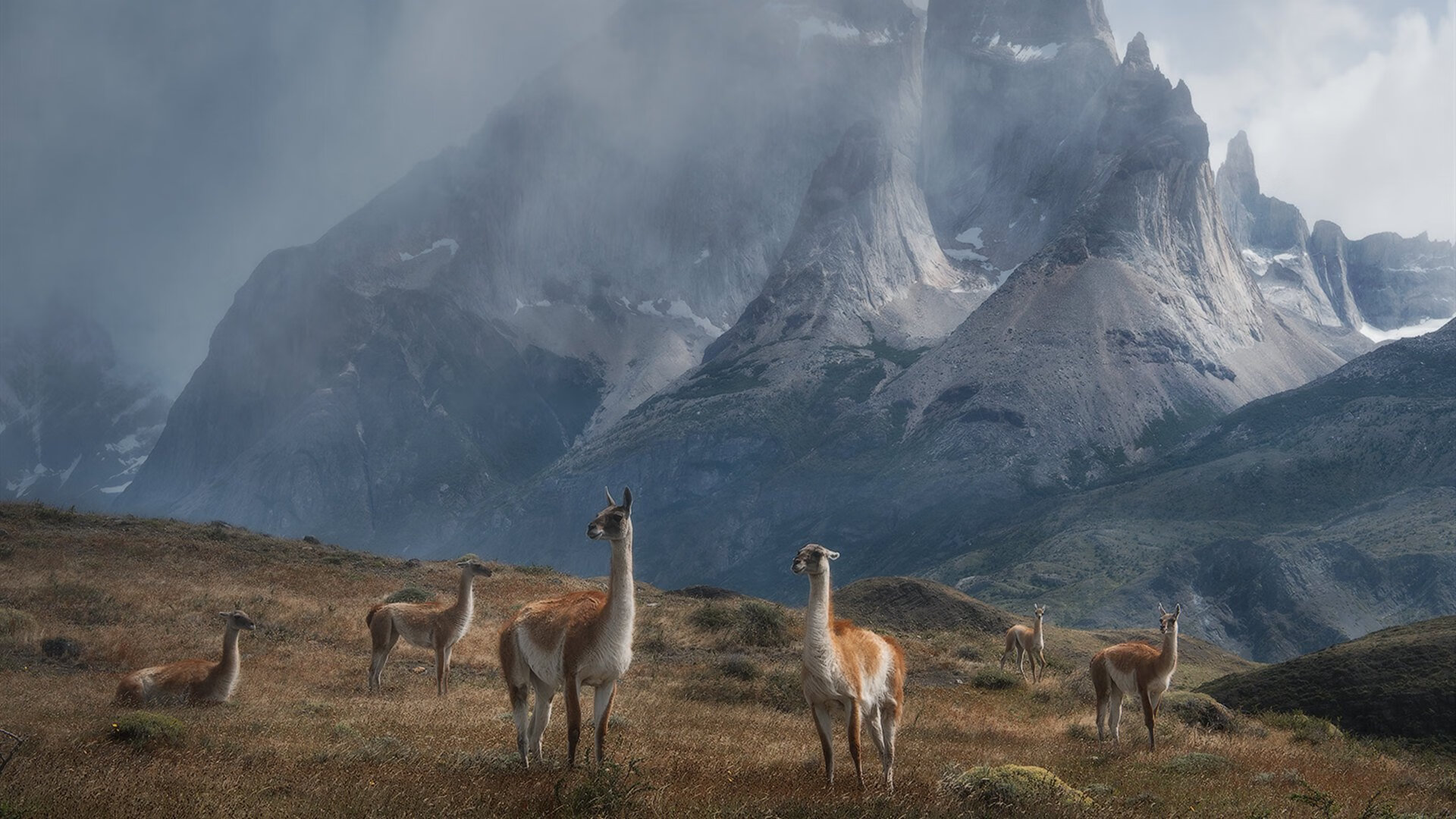 爱游戏体育（AYX）官方APP下载-壓倒性控球率傳達出球隊實力和戰術，压倒性的实力前一句