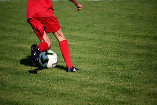 爱游戏下载-意甲裁判语义分析系统在比赛判罚中的应用研究，意甲裁判名单