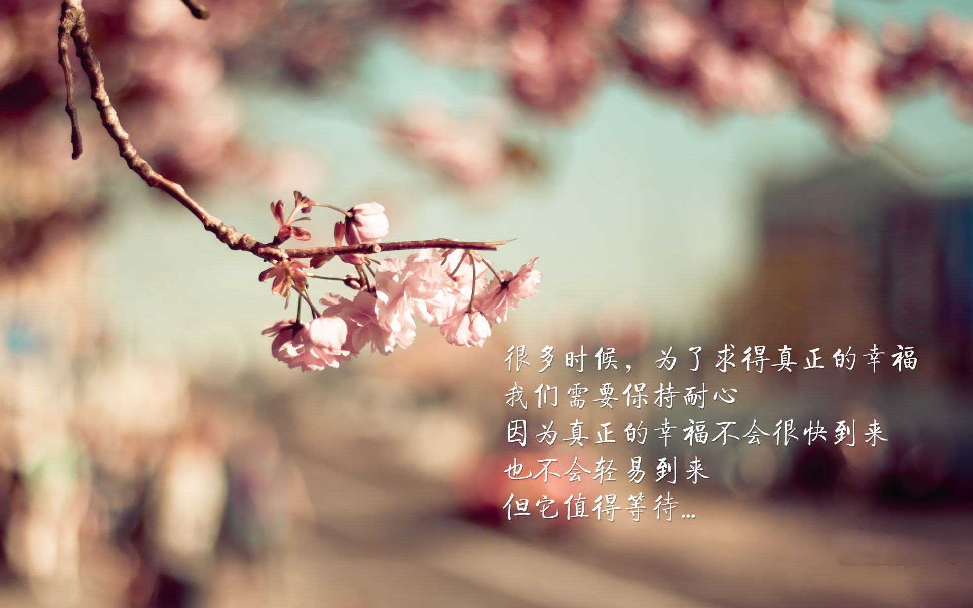 爱游戏下载-“新都兴城垒球赛：冠军争夺战正式打响！”