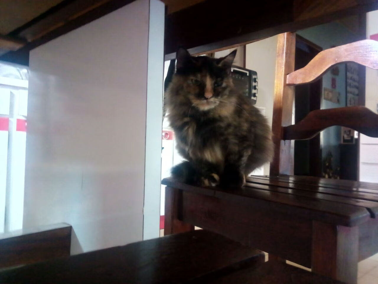 “运动舞蹈:2025世界运动会,金牛区城北体育馆舞动青春,节奏与力量并行”