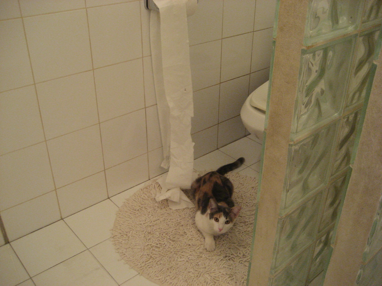 埃弗顿中场保护能力增强稳定后防线，埃弗顿新主场