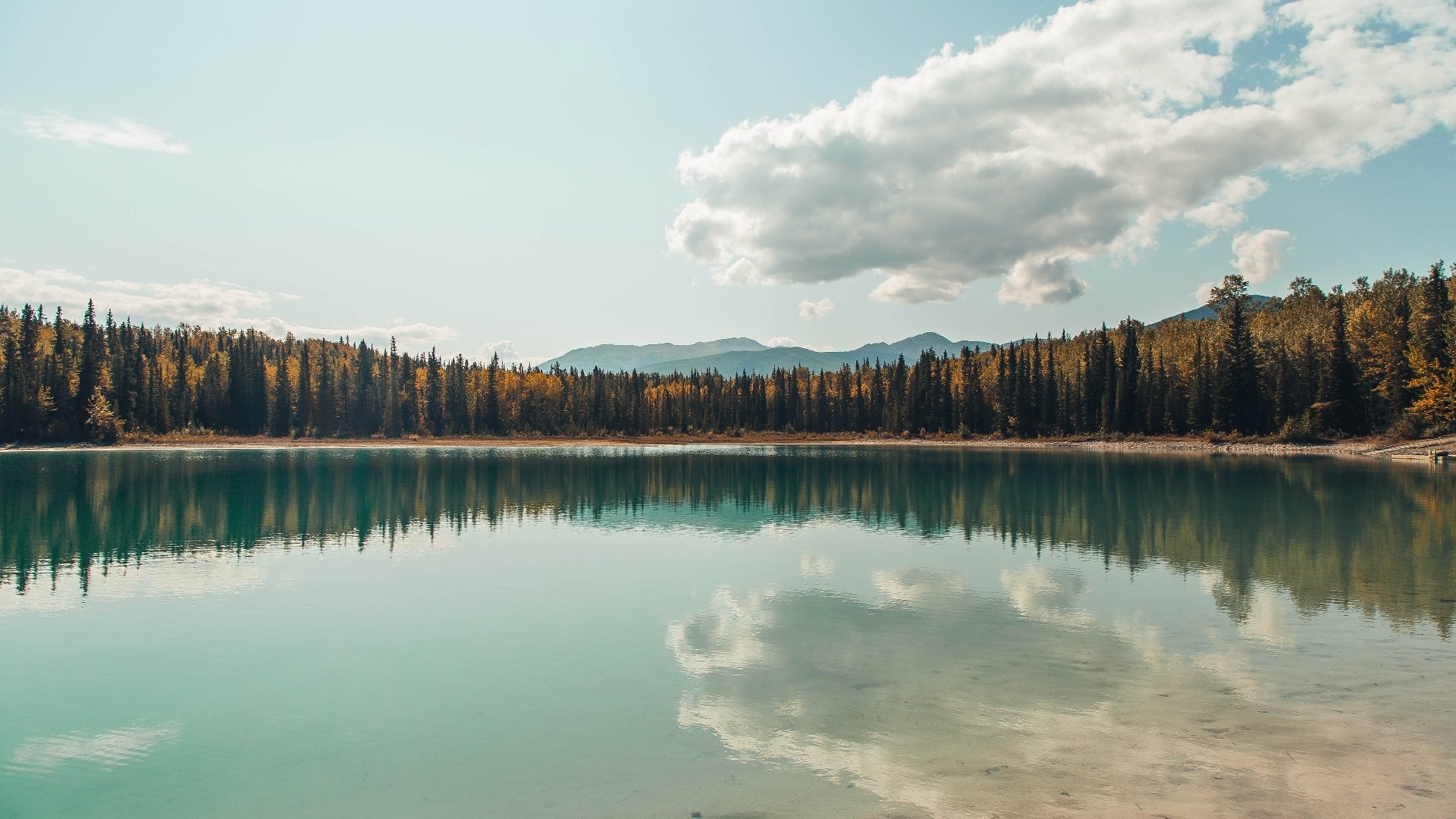 爱游戏体育（AYX）官方APP下载-美国队未来发展战略：如何利用赛制改革激发团队潜力，美国队选拔队