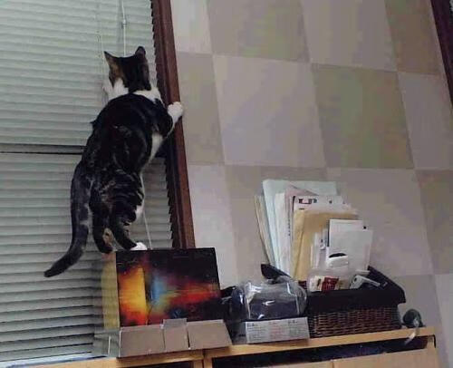 爱游戏 电竞-职业联赛商业权益分配不均引发争议，联赛商业化方案