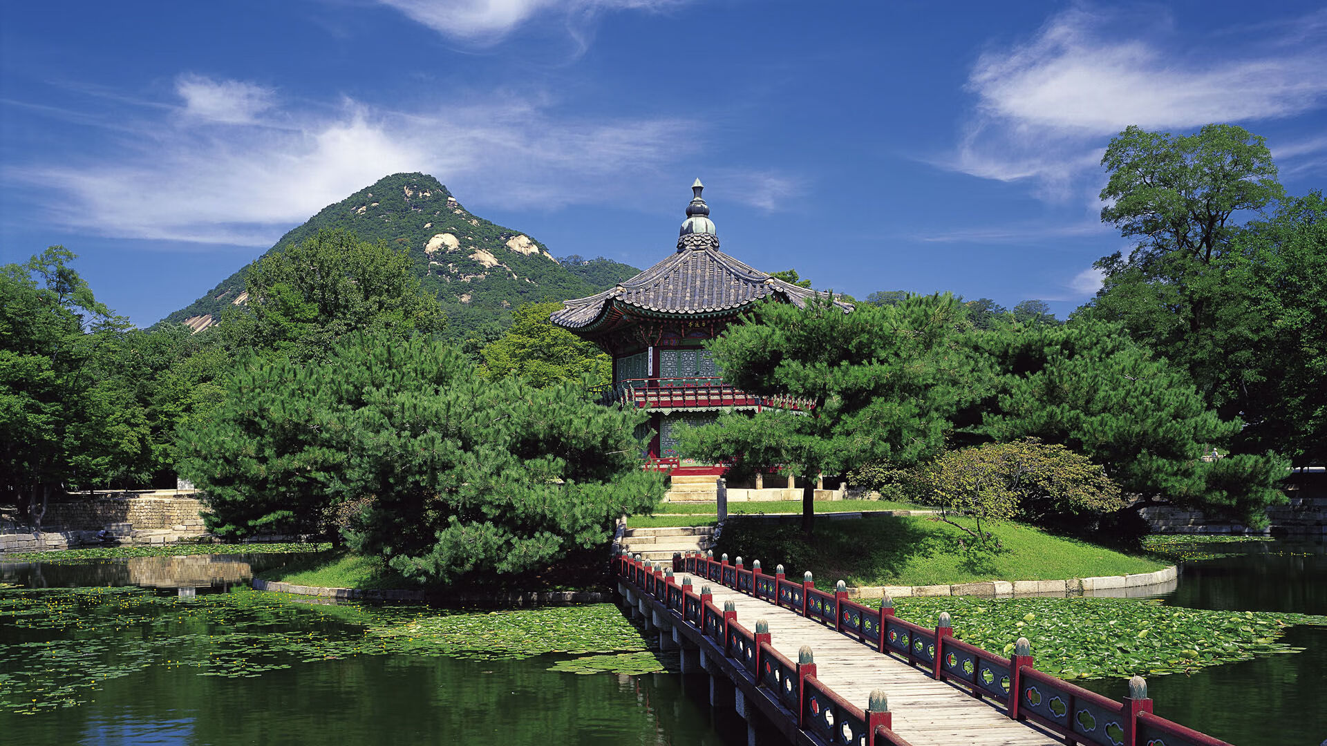 AYX GAME-世界杯精彩一刻：永恒瞬间，动人心弦！，世界杯泪目瞬间