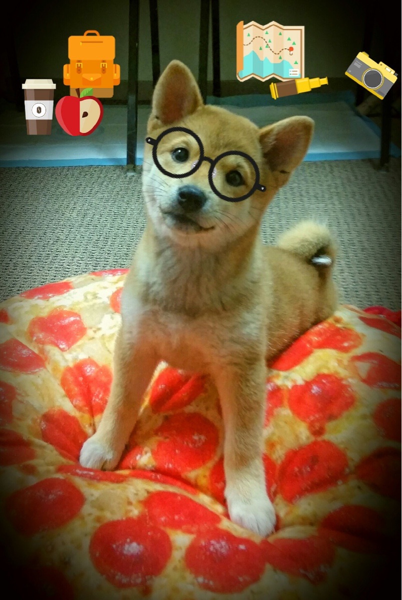 美洲杯明星奋战：突破极限，技惊四座！，美洲杯大名单