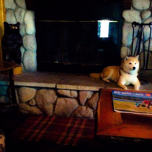 赞比亚男篮在非洲预赛中努力拼搏,迈向奥运梦想的舞台,赞比亚联赛