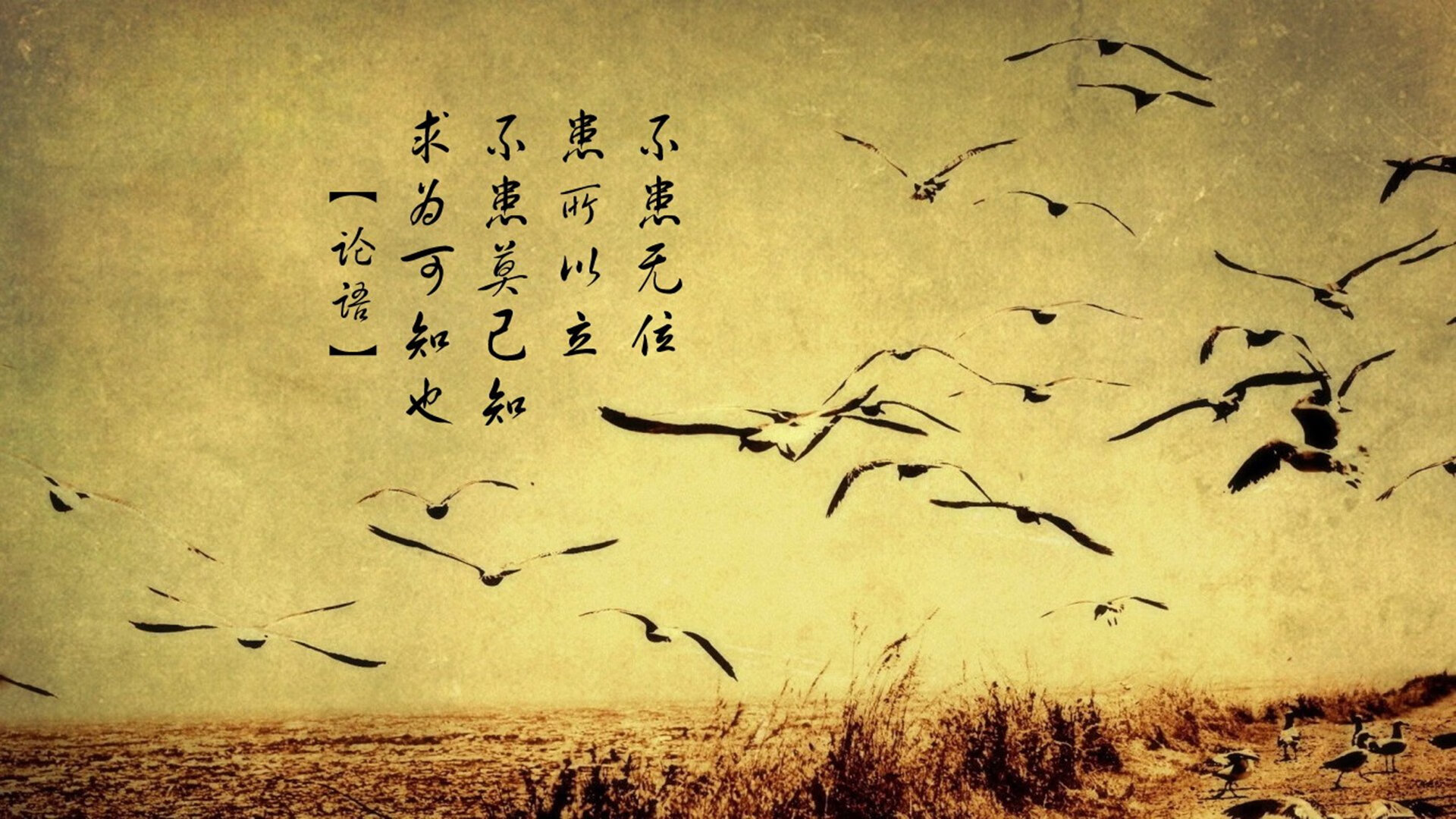 爱游戏娱乐网址-青少年联赛引入智能裁判系统试点提升公正效率，青少年赛事活动服务中心